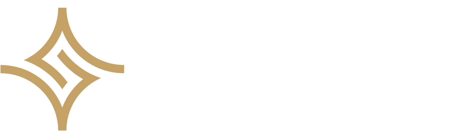 SilveRise Group